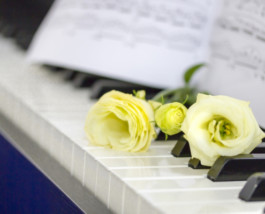 3ヶ月で好きな曲を弾けるようになります 3ヶ月で好きな曲を弾けるようになります